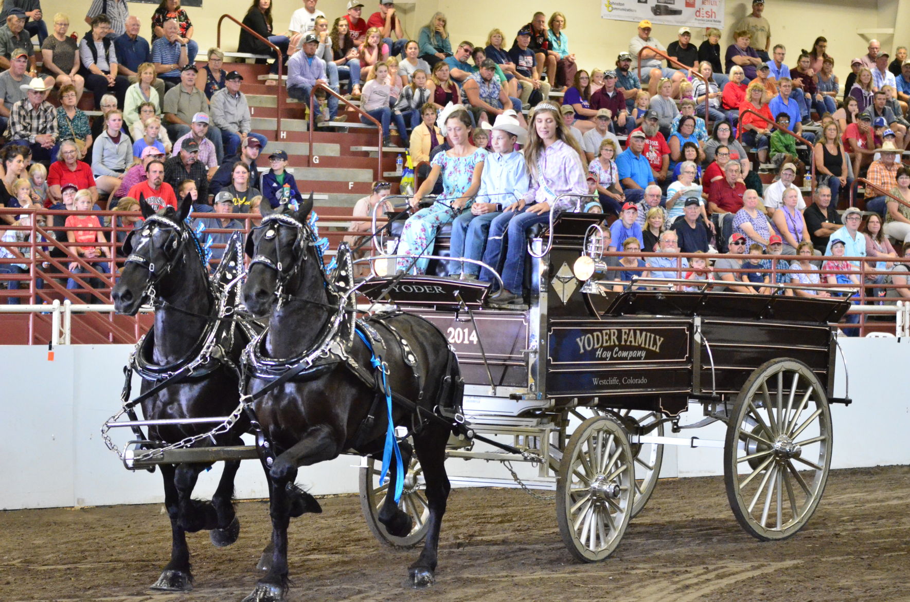 8-25-19 Draft Horse Hitch Final (70).JPG